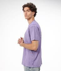 Mens Big Wave Daz T-Shirt לילך