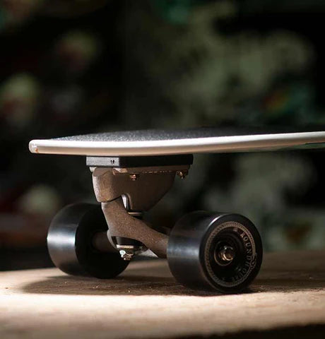 קארבר ״ TRITON SIGNAL 31