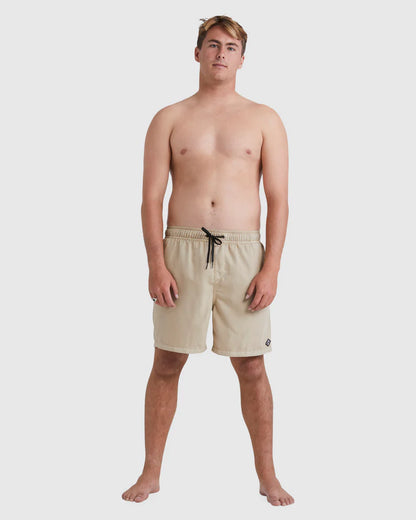 Mens All Day Overdye Layback Boardshorts אבן