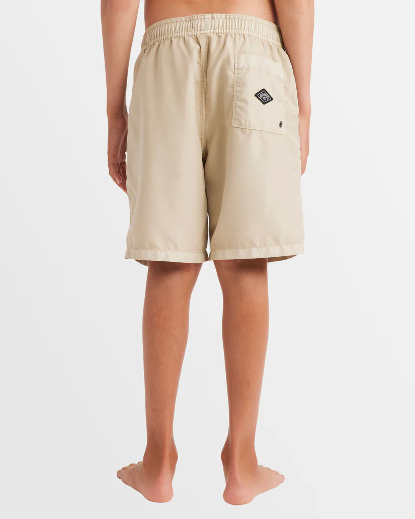 Boys 8-16 All Day Overdye Layback Boardshorts
